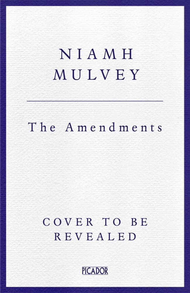 The amendments The amendments