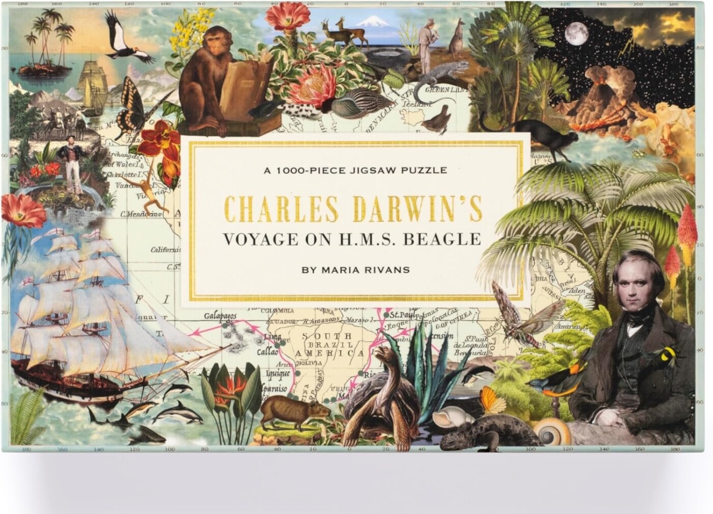 Puzzle - 1000 piece: Charles Darwin's Voyage on H.M.S. Beagle