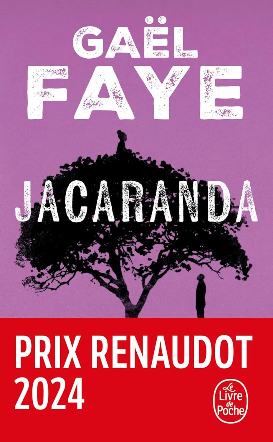 Jacaranda Jacaranda