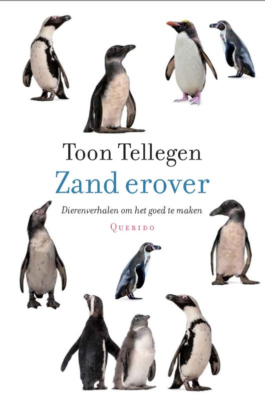 Zand erover Zand erover