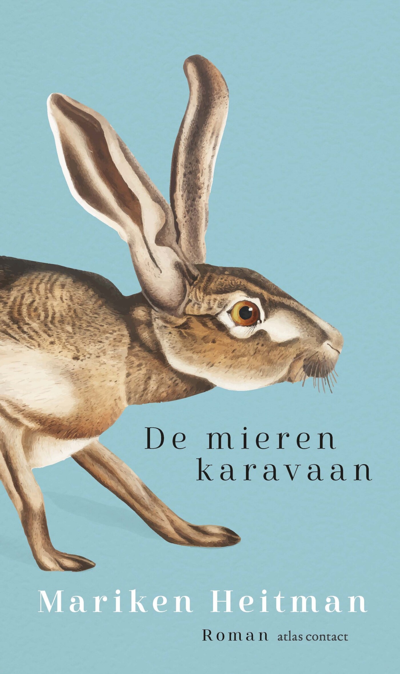 De mierenkaravaan