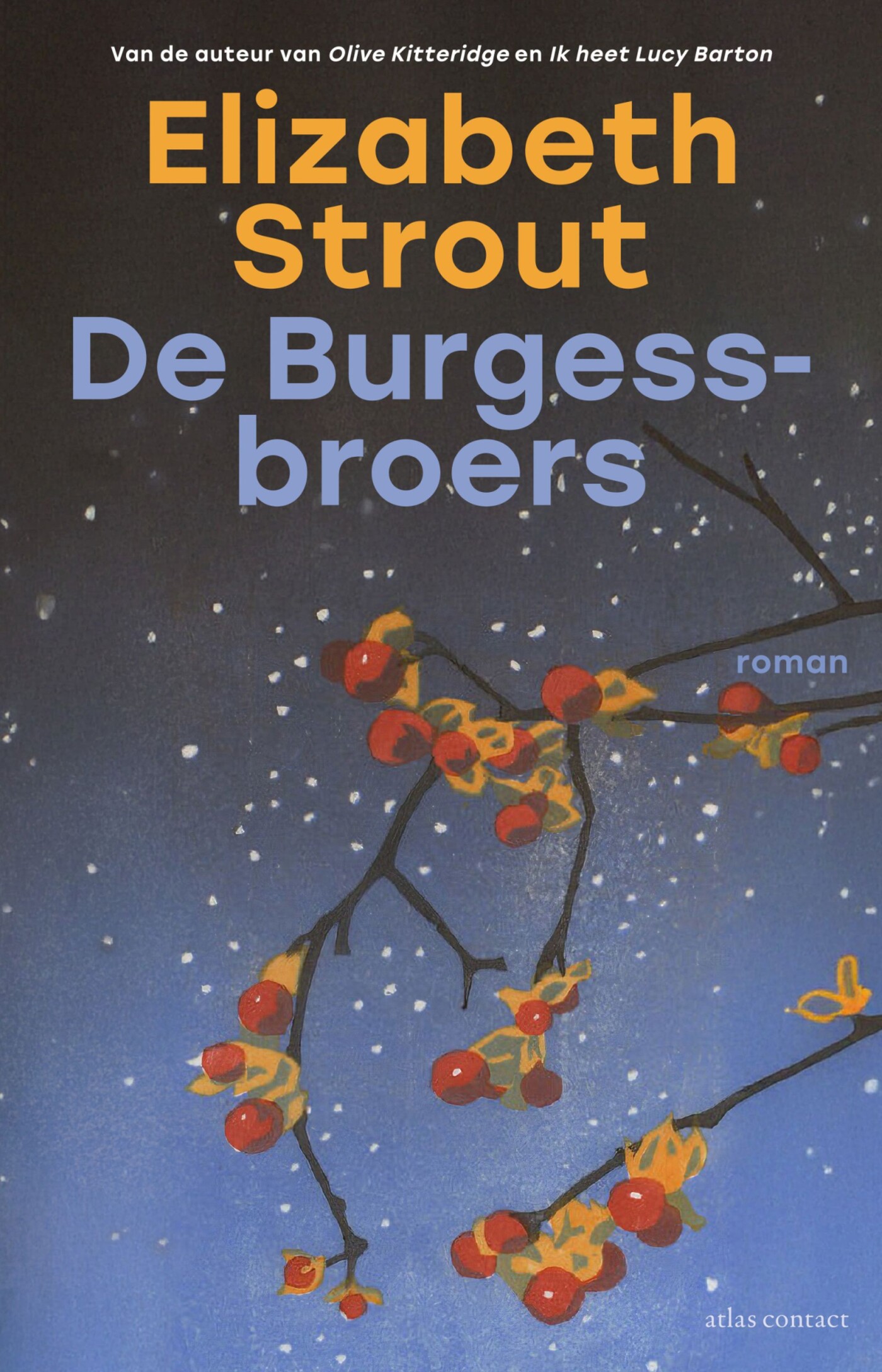 De Burgess-broers De Burgess-broers