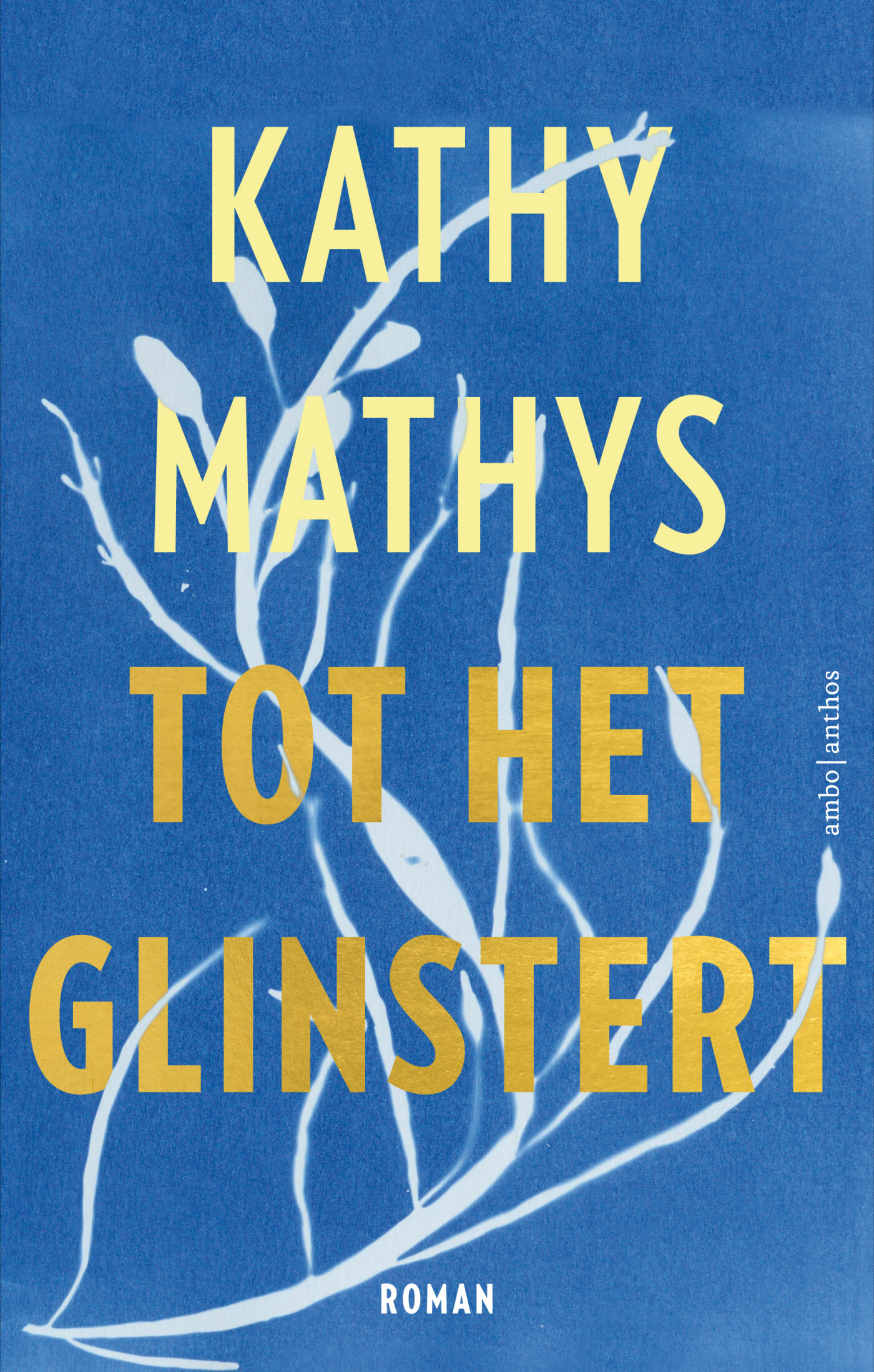 Tot het glinstert