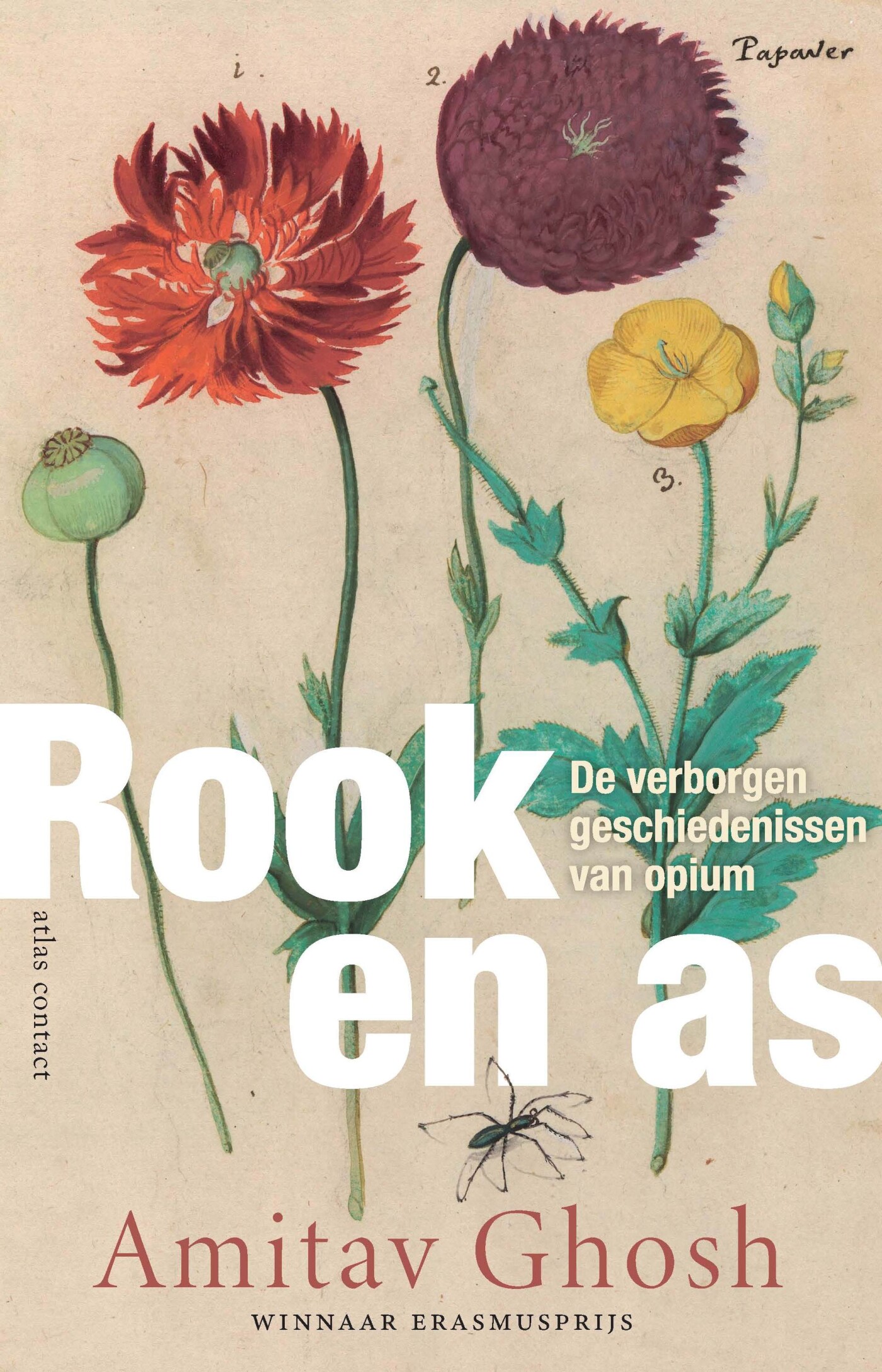 Rook en as