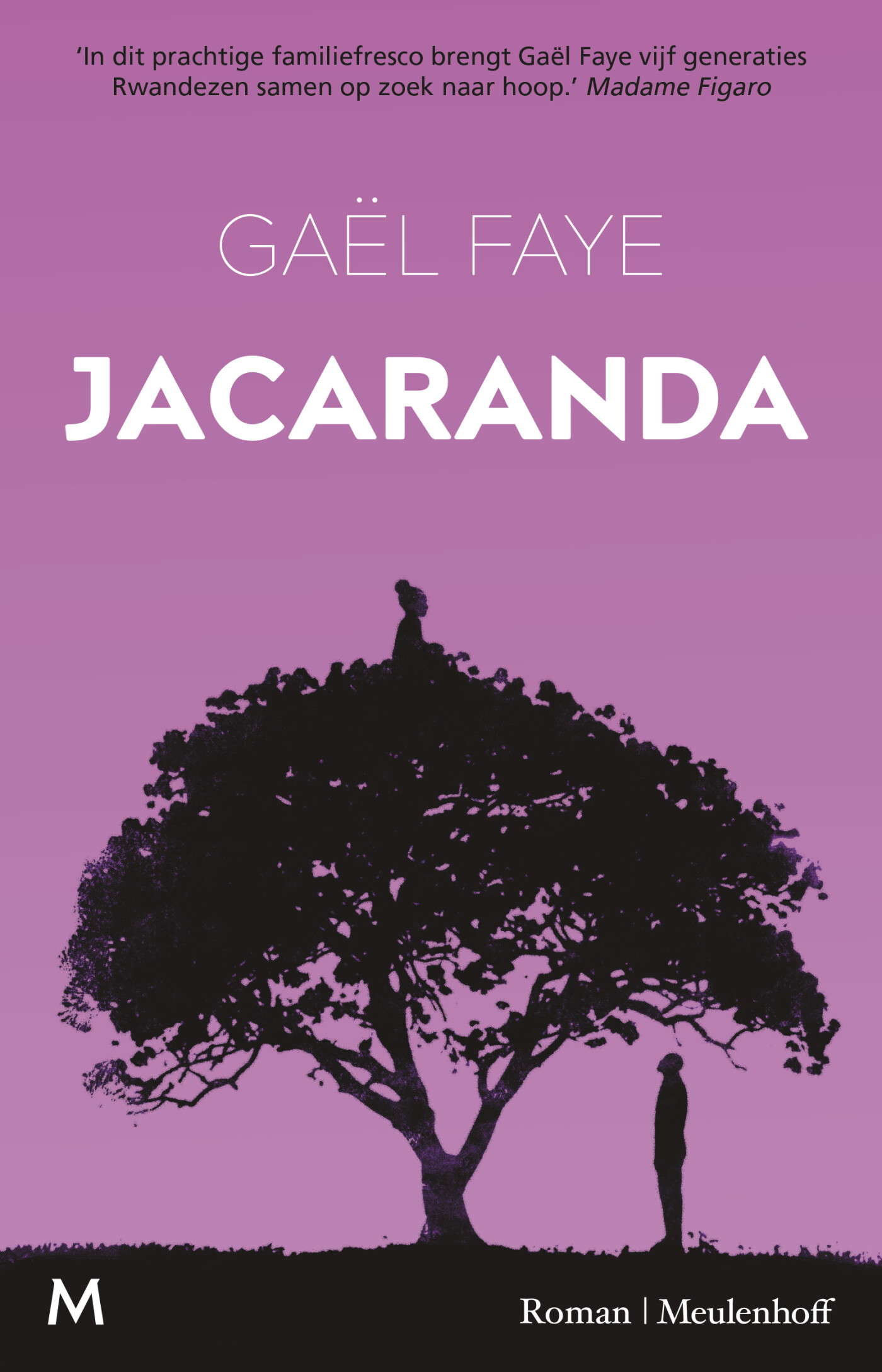 Jacaranda Jacaranda