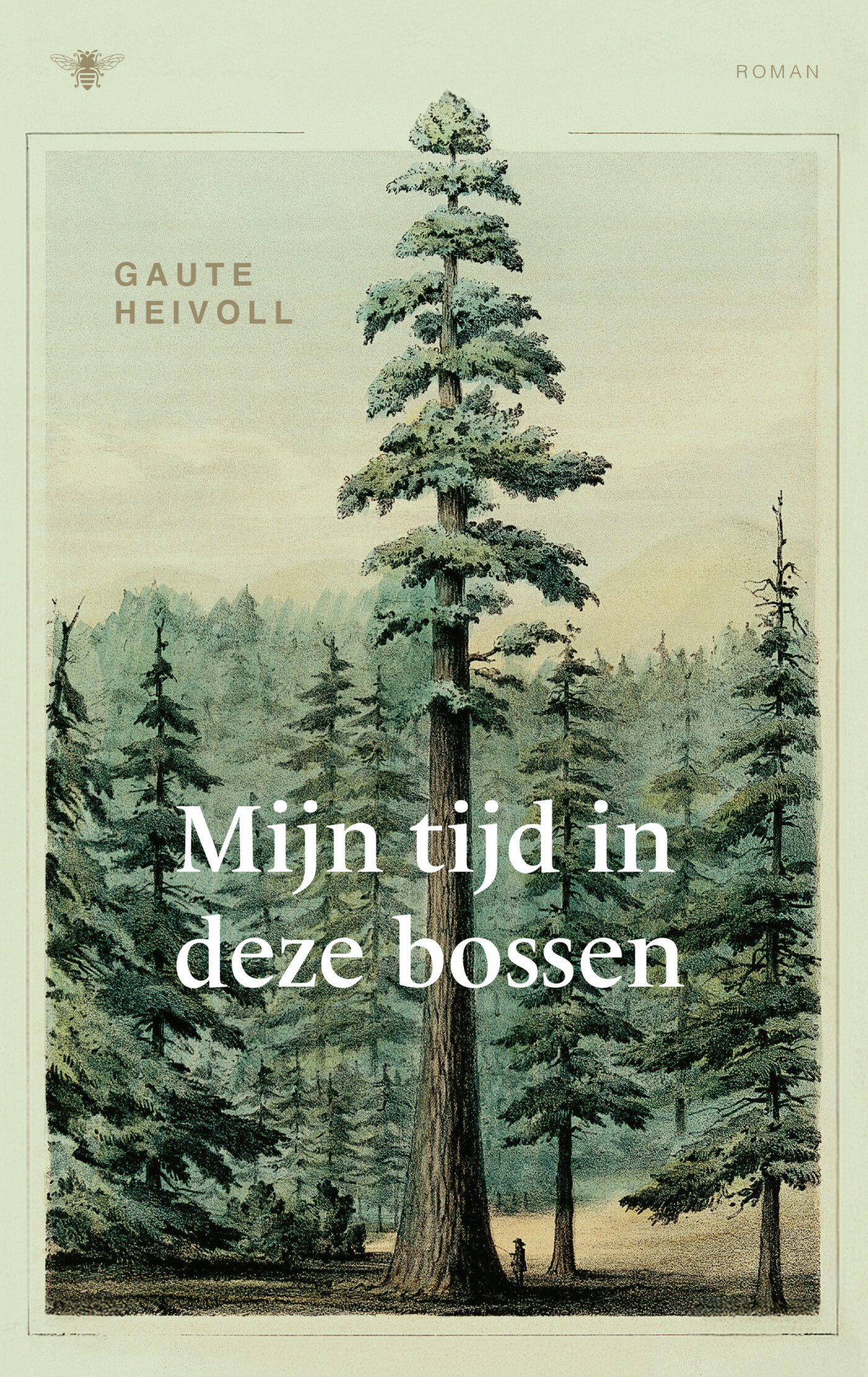 Mijn tijd in deze bossen Mijn tijd in deze bossen