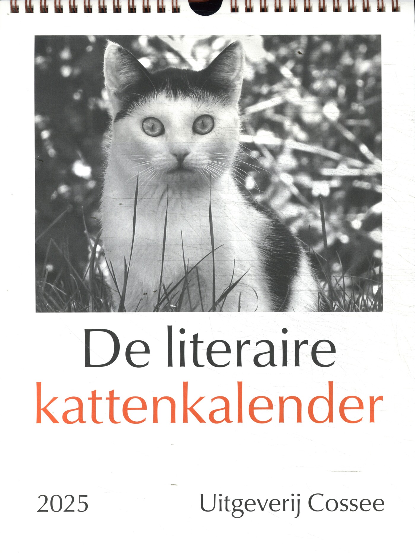 De literaire kattenkalender 2025