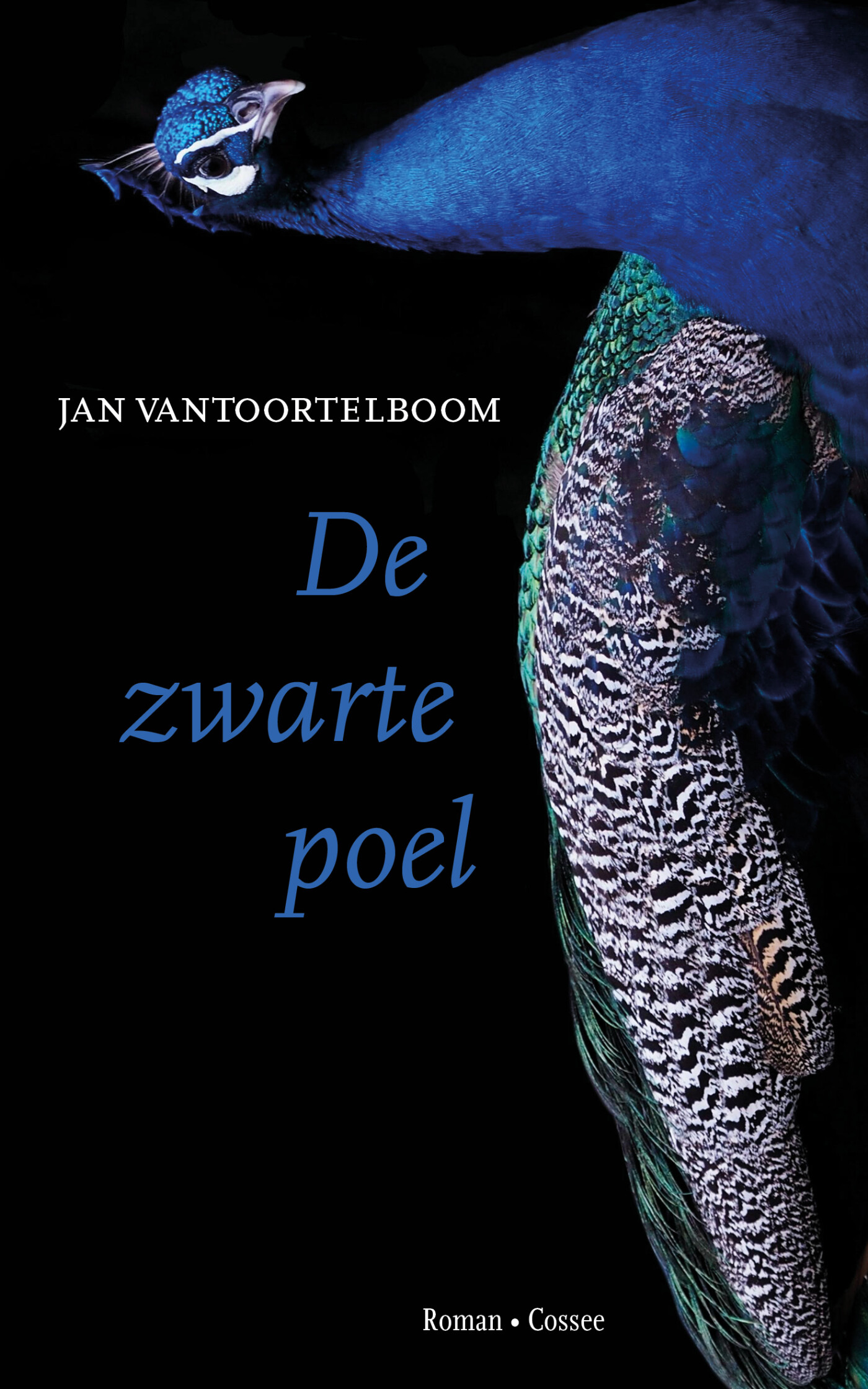 De zwarte poel De zwarte poel