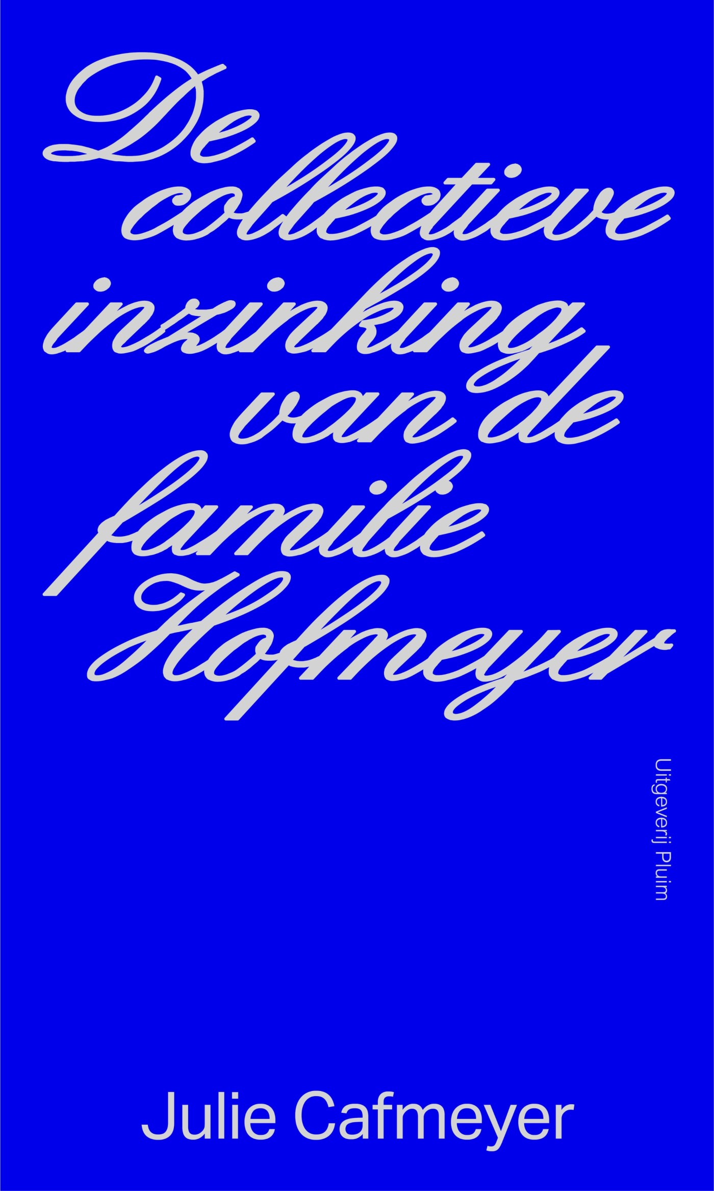 De collectieve inzinking van de familie Hofmeyer